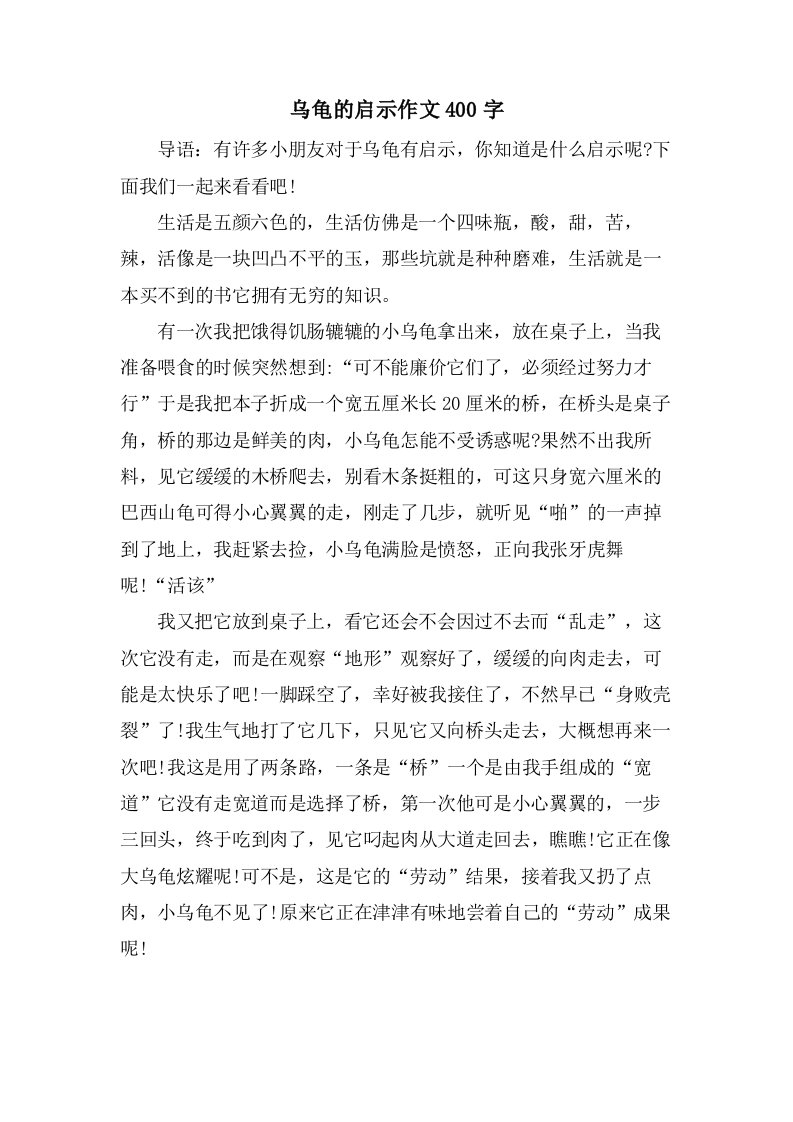 乌龟的启示作文400字