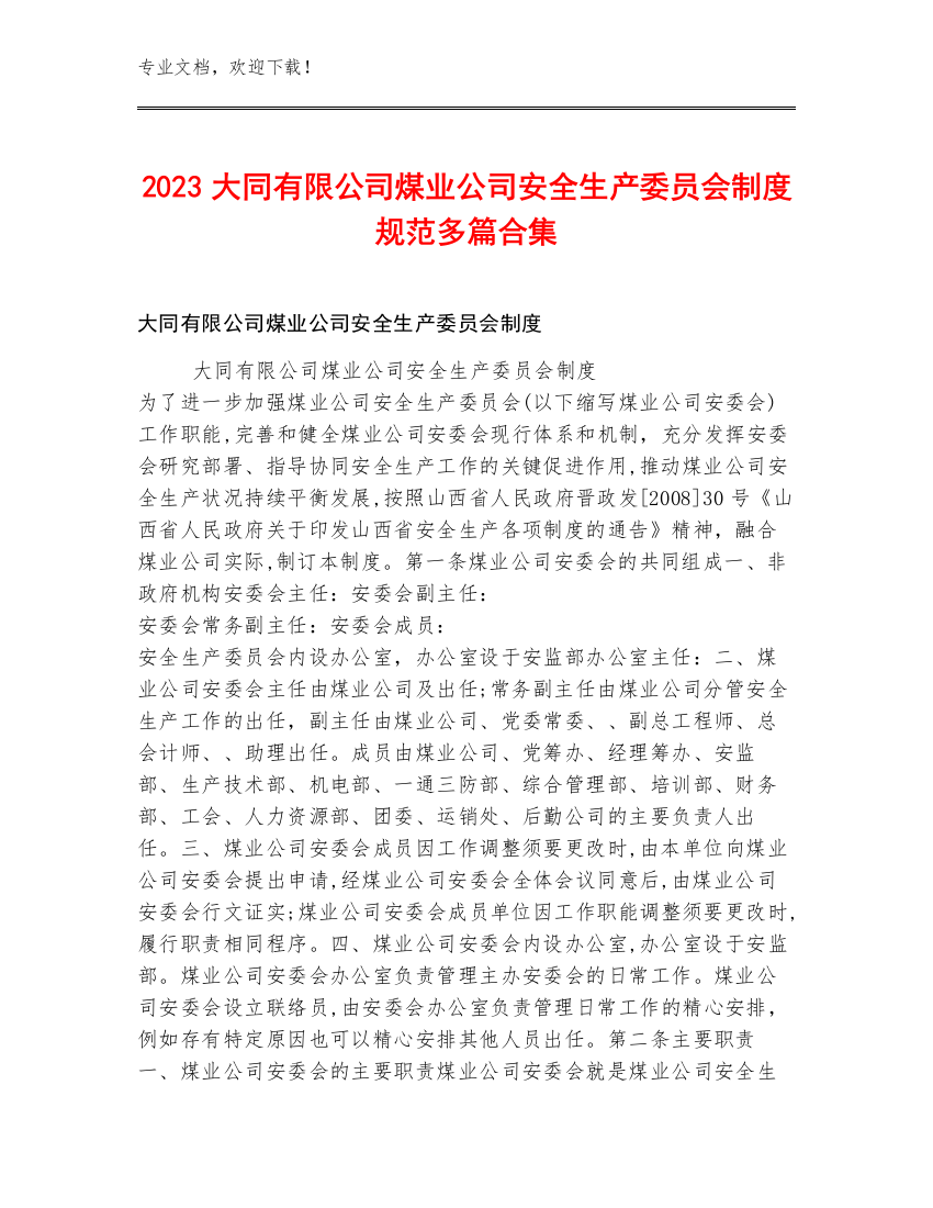 2023大同有限公司煤业公司安全生产委员会制度规范多篇合集