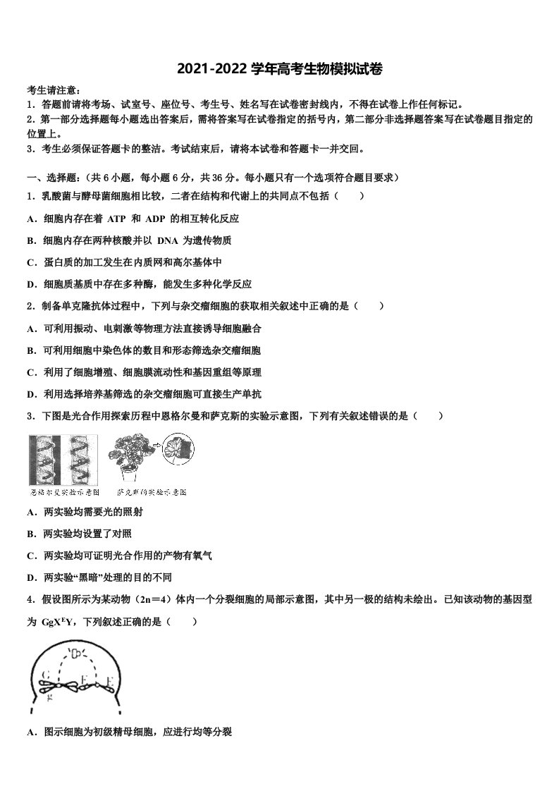 吉林省长春汽车经济技术开发区第六中学2021-2022学年高三下学期联考生物试题含解析