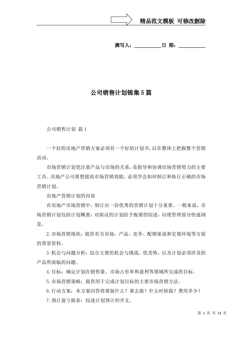 公司销售计划锦集5篇一