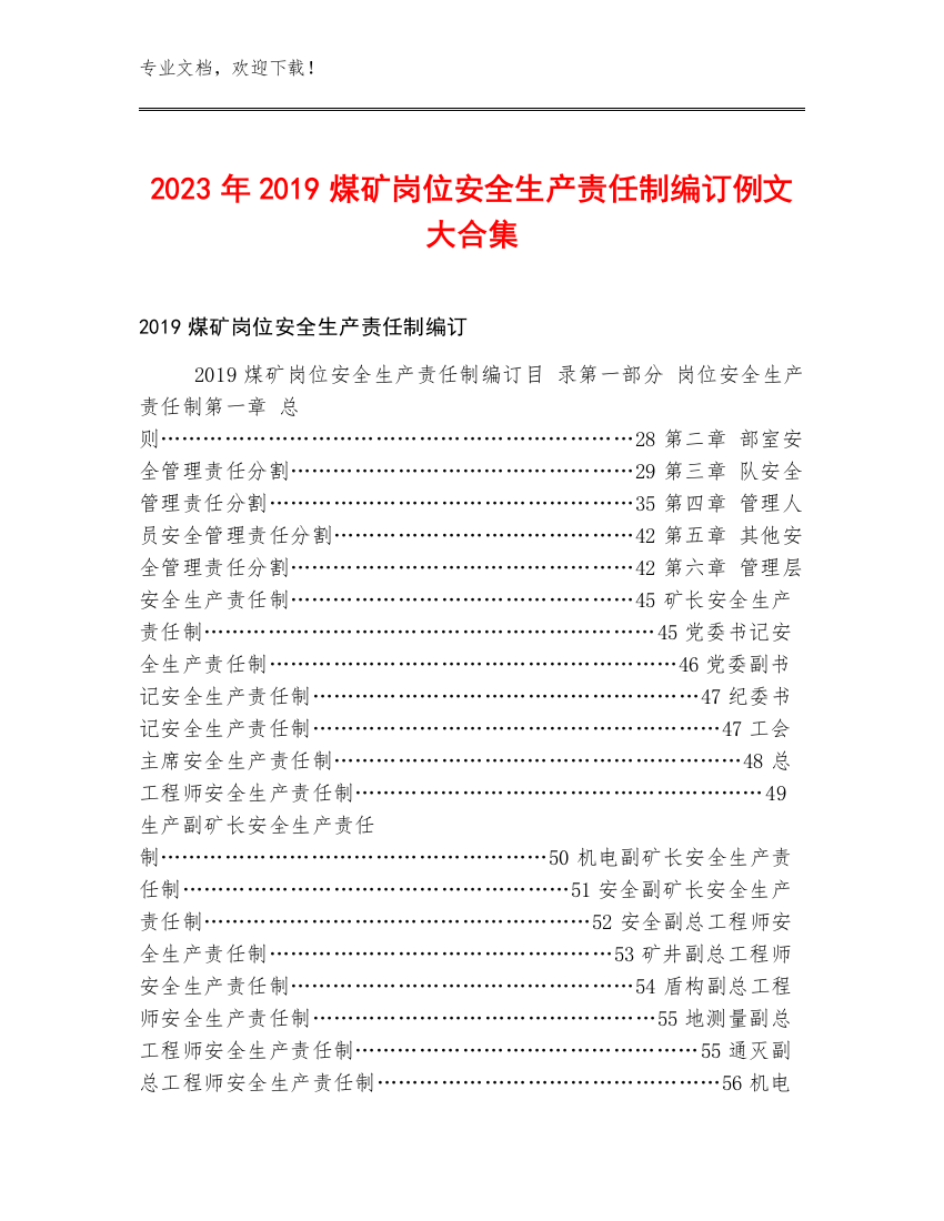 2023年2019煤矿岗位安全生产责任制编订例文大合集