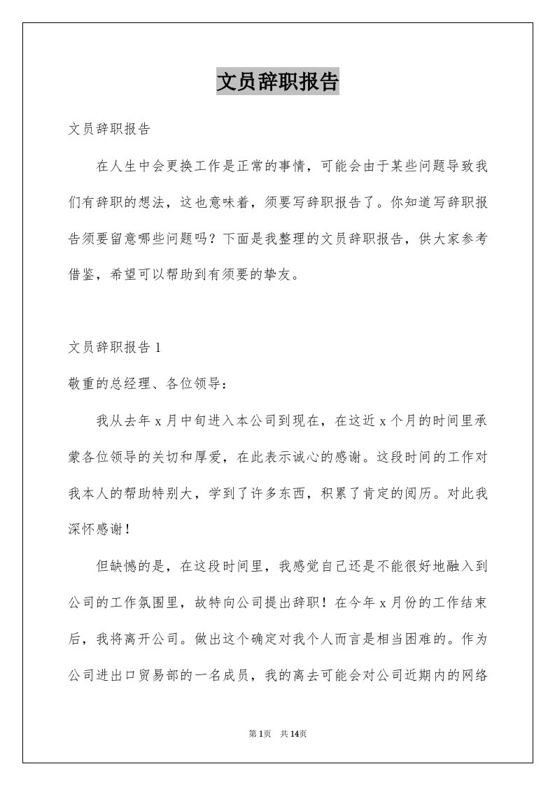 文员辞职报告例文5