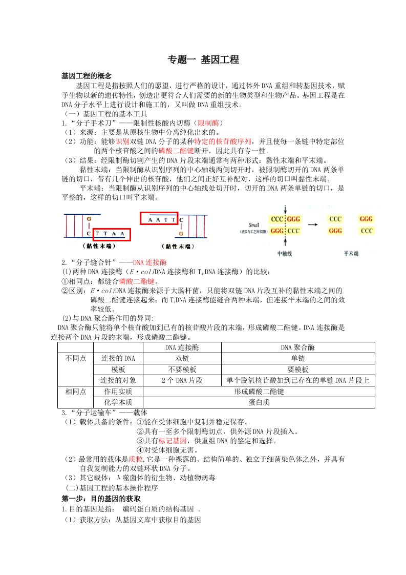 高中生物选修三专题一基因工程知识点