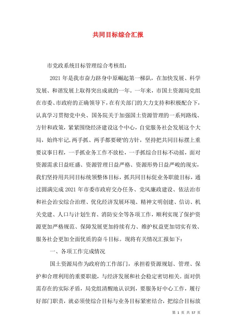 共同目标综合汇报