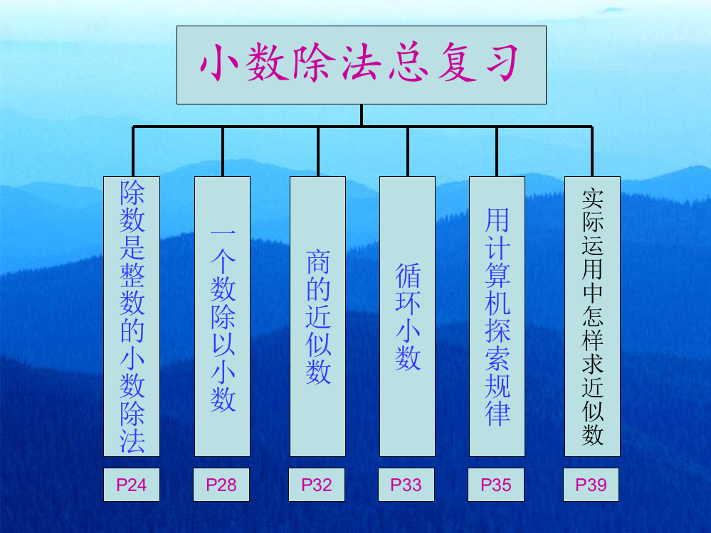 5上复习小数除法总复习