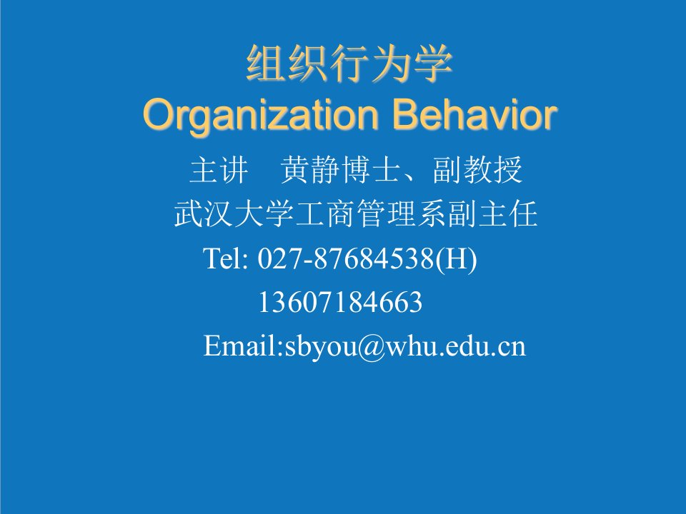 组织设计-组织行为学教案武汉大学