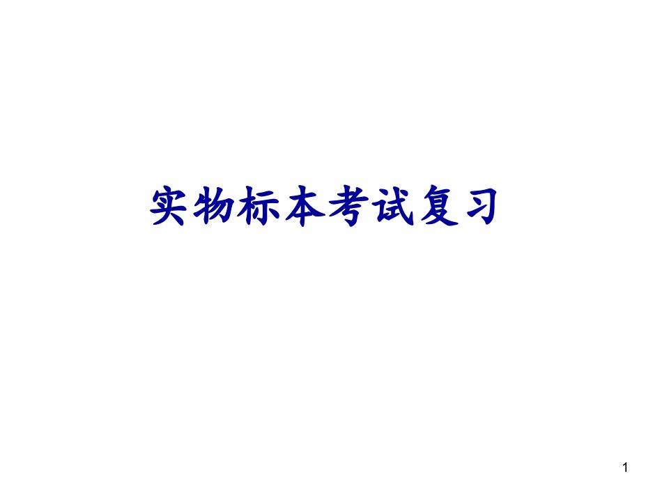 系统解剖学实物标本考试复习