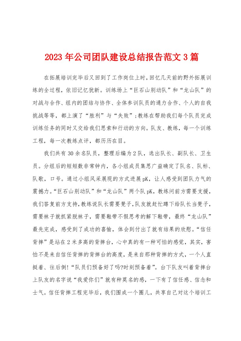 2023年公司团队建设总结报告范文