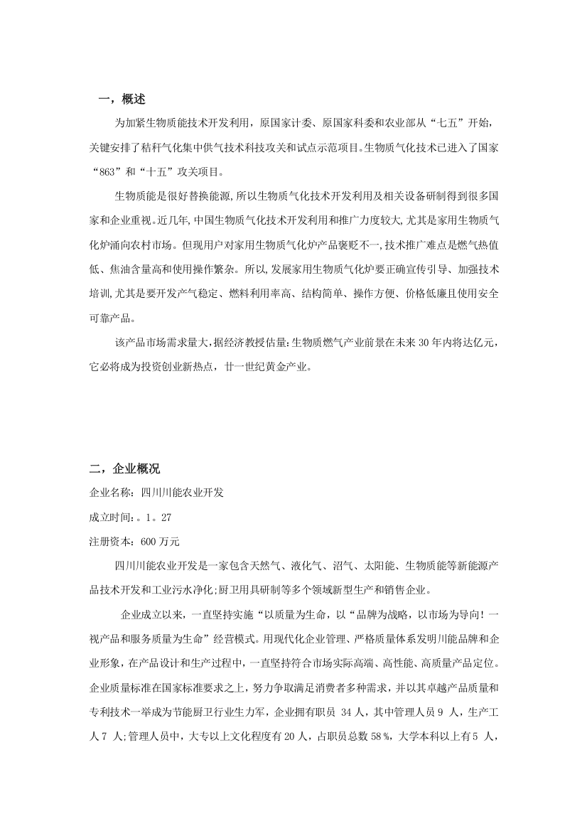 能源气化有限公司商业计划书样本