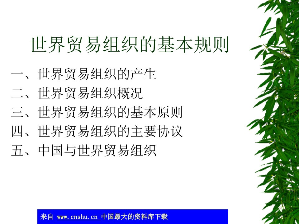 世界贸易组织的基本规则(ppt