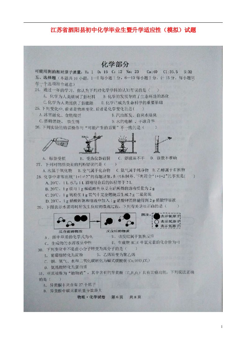 江苏省泗阳县初中化学毕业生暨升学适应性（模拟）试题（扫描版）