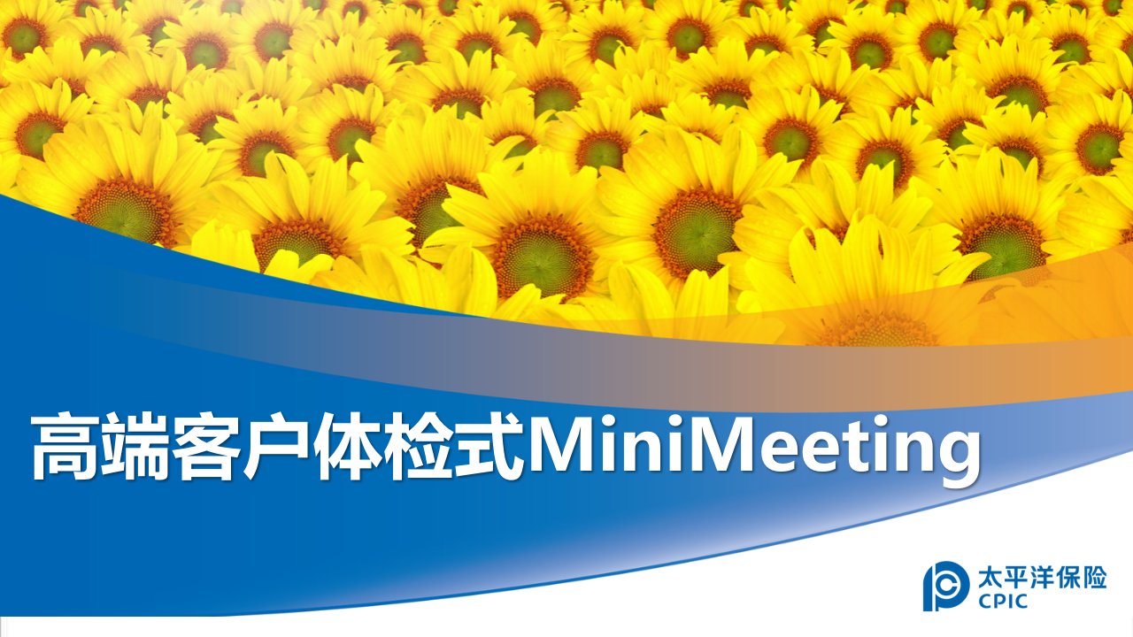 推荐-高端客户体检式MiniMeeting