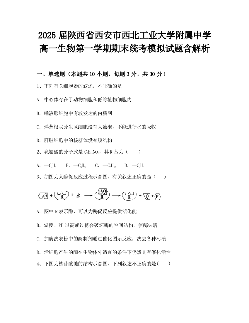 2025届陕西省西安市西北工业大学附属中学高一生物第一学期期末统考模拟试题含解析