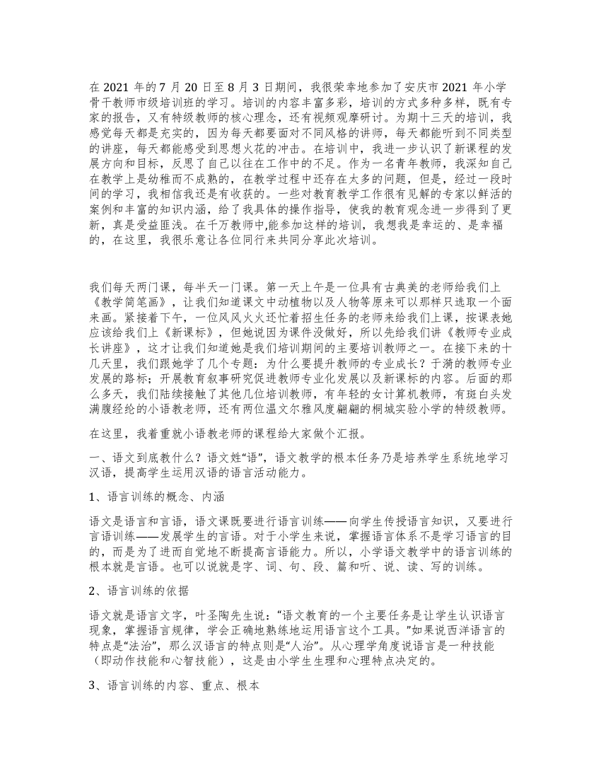 2021年小学骨干教师培训总结