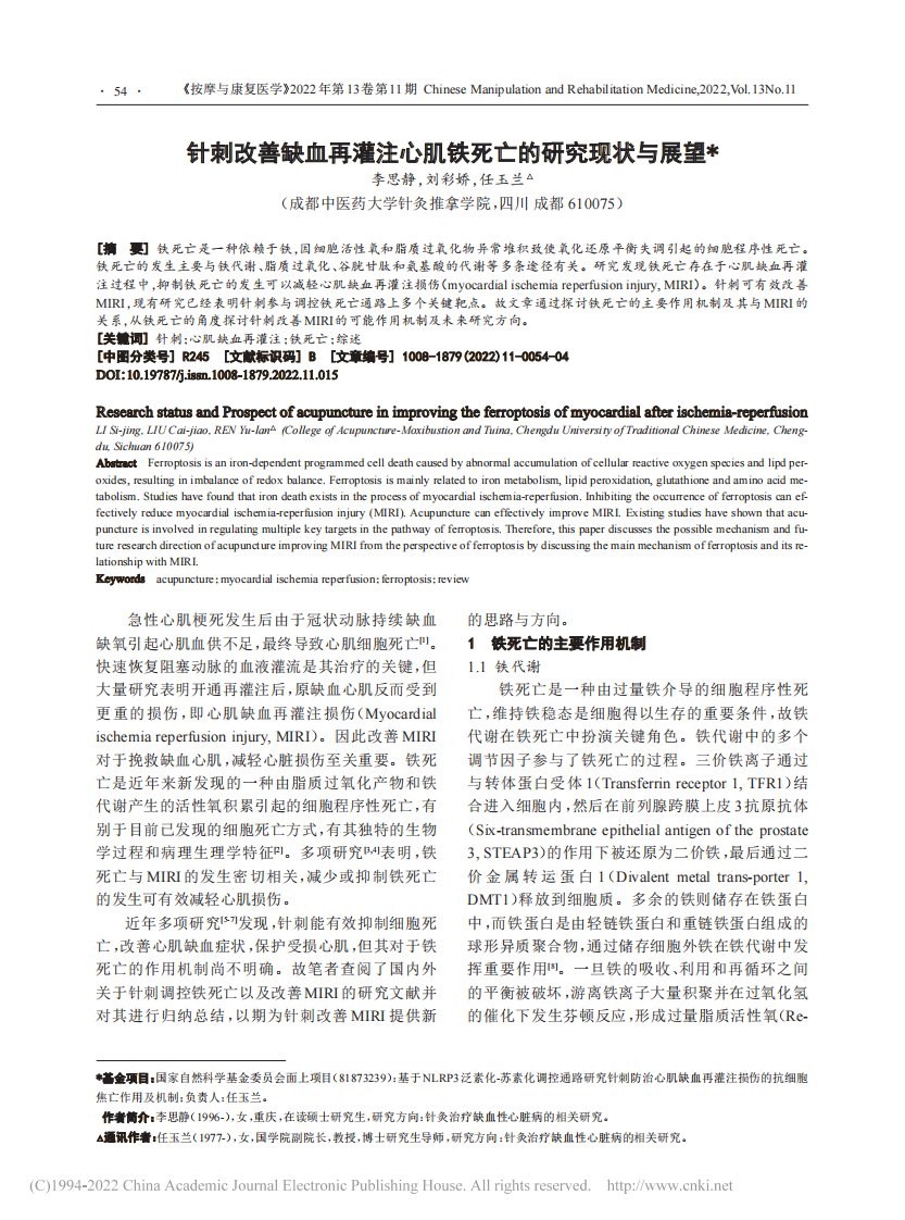 针刺改善缺血再灌注心肌铁死亡的研究现状与展望