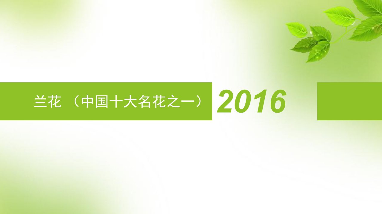 兰花_林学_农林牧渔_专业资料-课件（PPT演示稿）