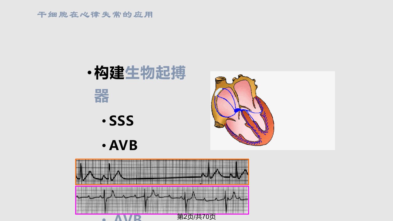 中国医学科学院阜外心血管病医院任晓庆