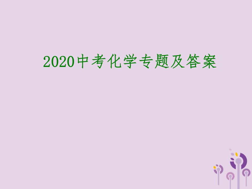 2020中考化学专题及答案ppt课件