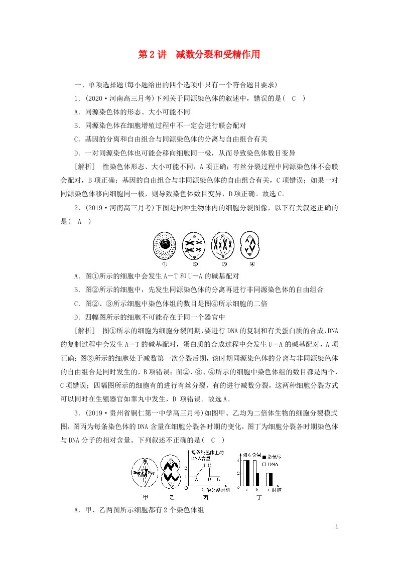 新高考2021高考生物一轮复习练习12减数分裂和受精作用含解析新人教版