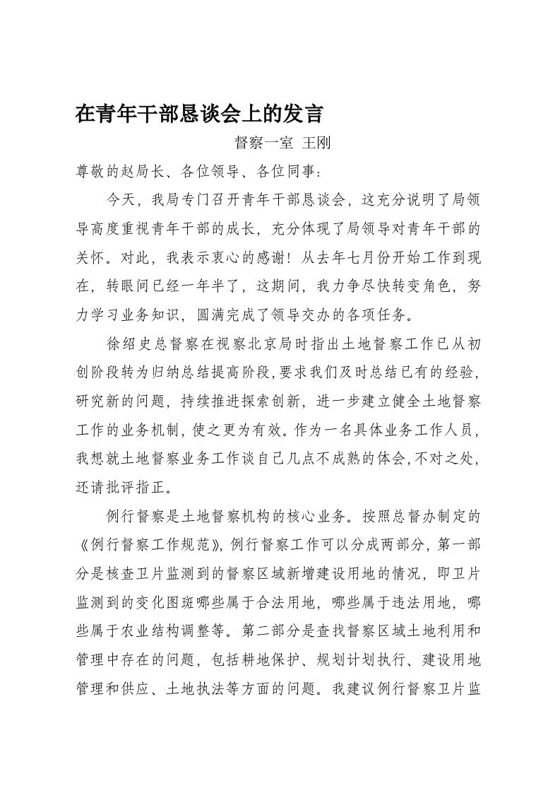 在青年干部恳谈会上的发言