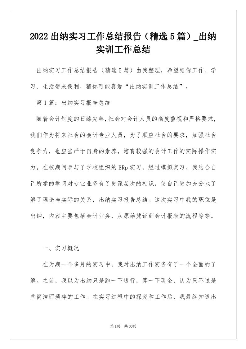 2022出纳实习工作总结报告精选5篇_出纳实训工作总结