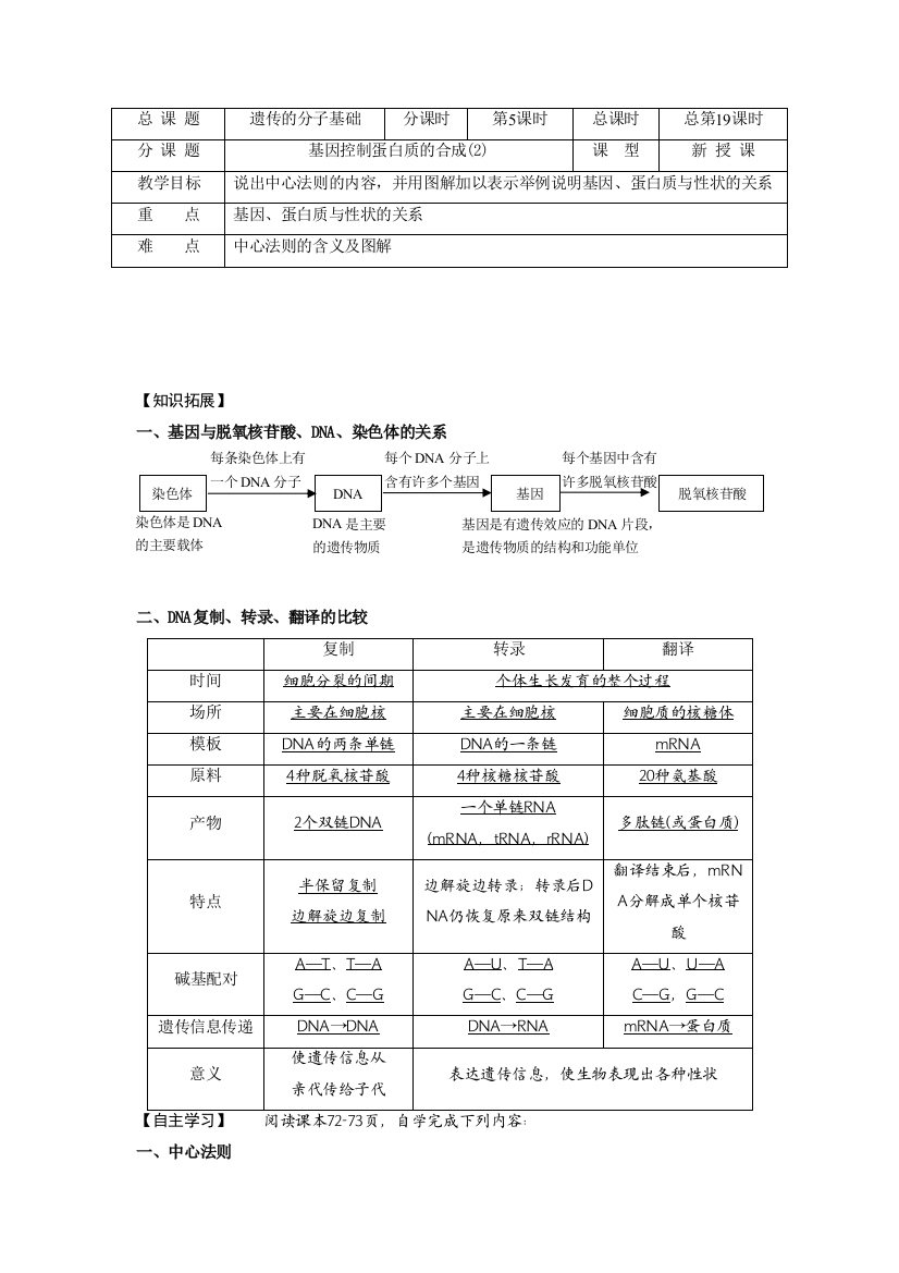 《基因控制蛋白质的合成》学案4