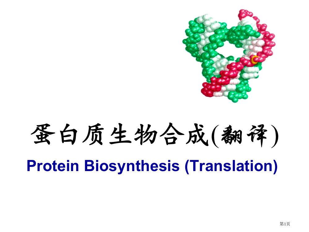 分子生物学翻译省公共课一等奖全国赛课获奖课件