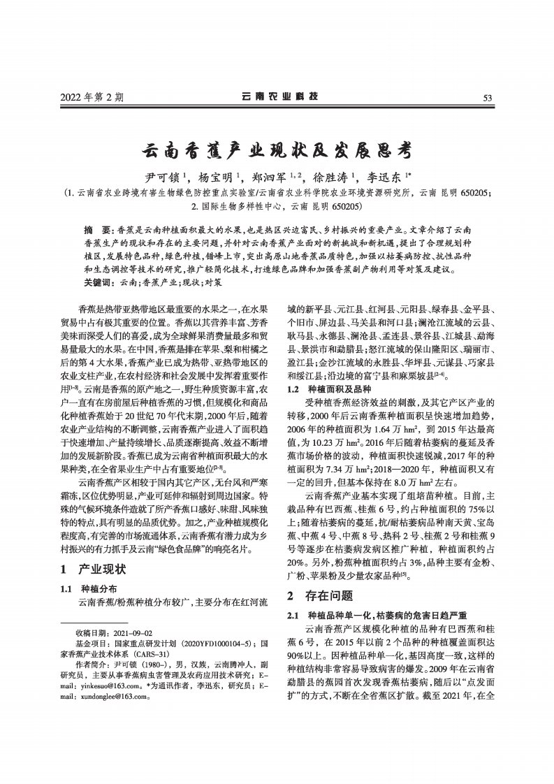 云南香蕉产业现状及发展思考