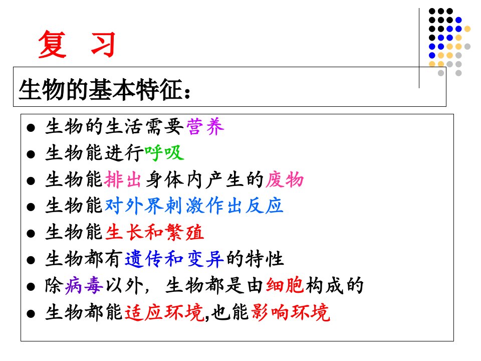 调查周边环境中的生物21课件