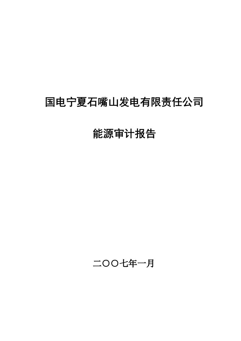 国电宁夏石嘴山发电有限责任公司能源审计报告