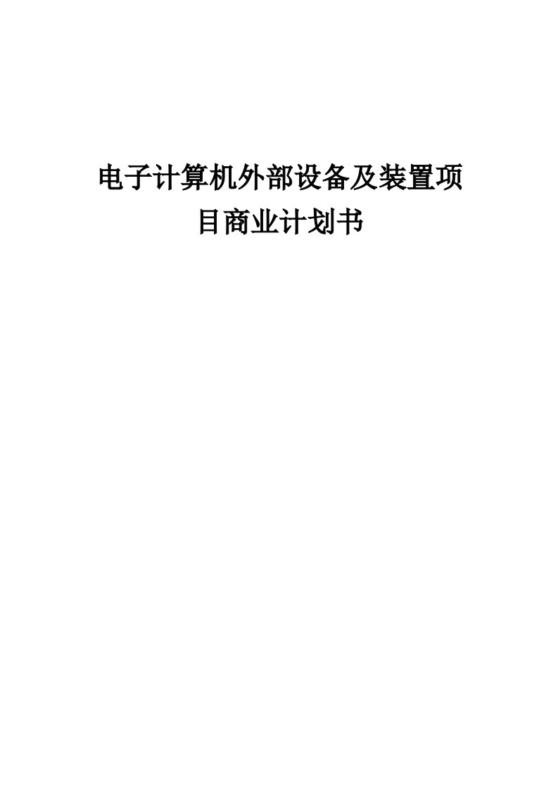 电子计算机外部设备及装置项目商业计划书