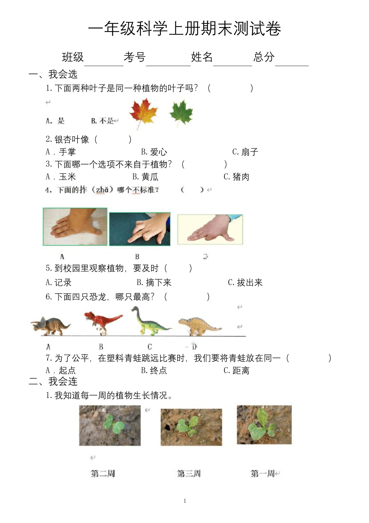 小学科学教科版一年级上册期末测试卷3