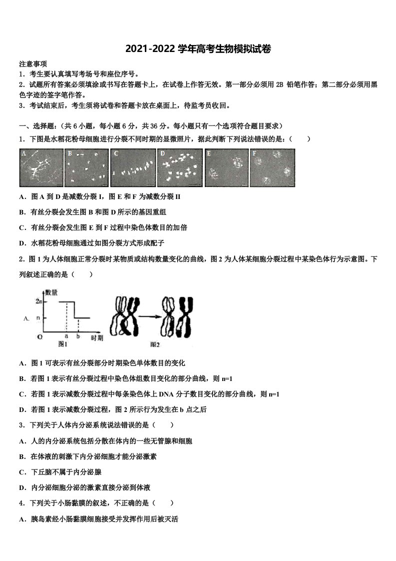 2022届吉林省通榆一中高三第一次模拟考试生物试卷含解析