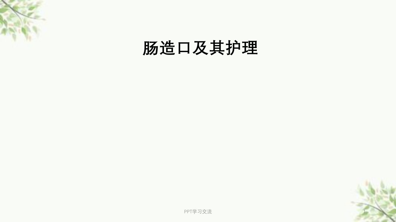 肠造口及其护理医学PPT课件