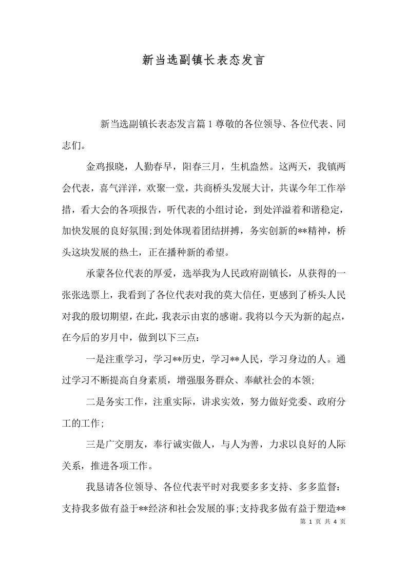 精选新当选副镇长表态发言