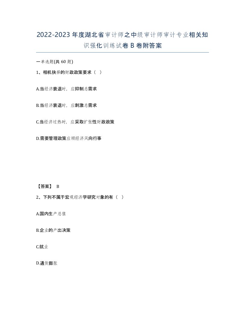 2022-2023年度湖北省审计师之中级审计师审计专业相关知识强化训练试卷B卷附答案