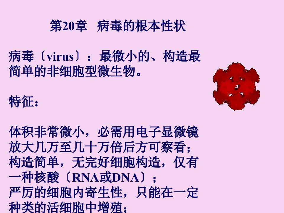 医学微生物学病毒的基本性状ppt课件