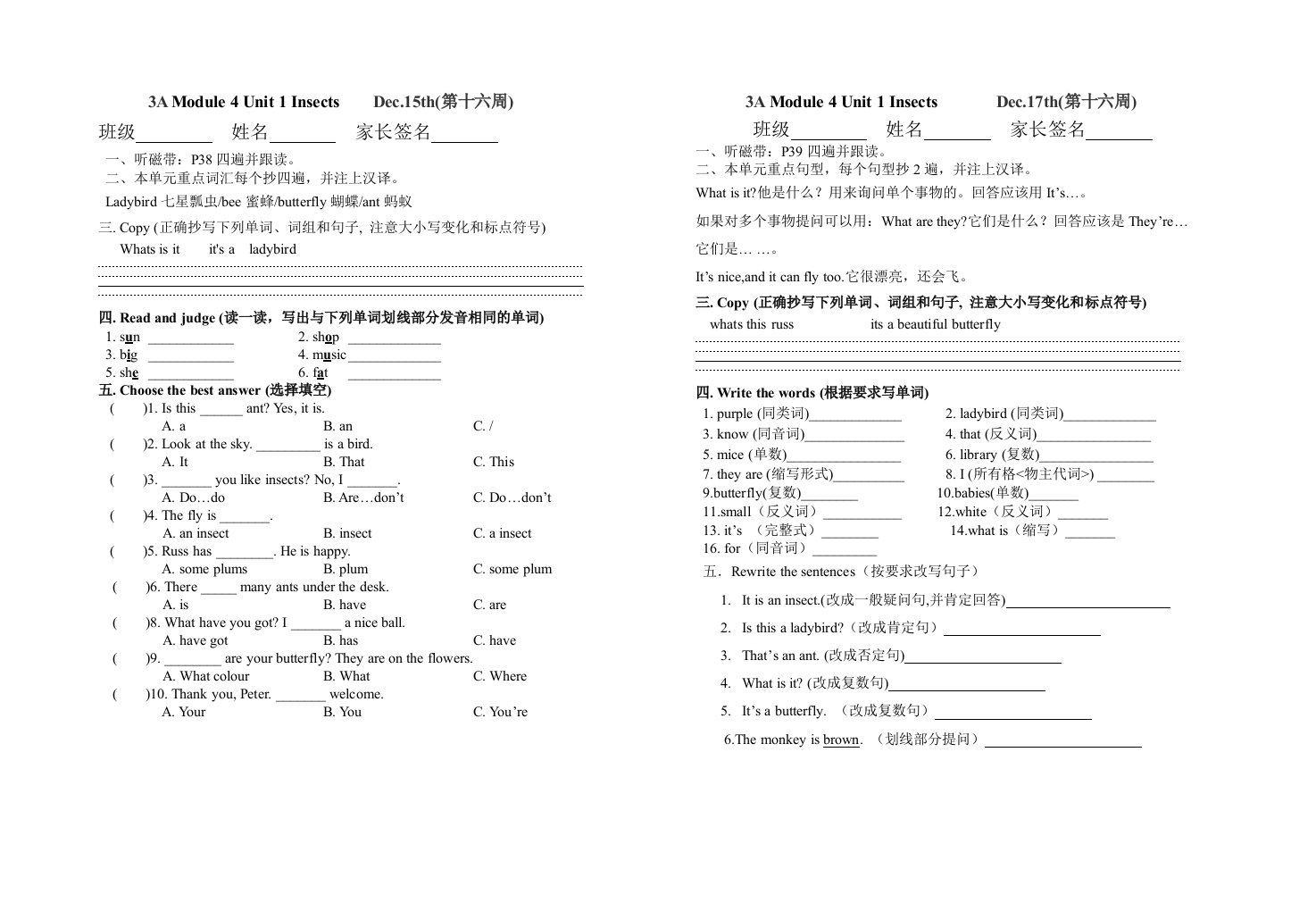 三年级第16周家庭作业In