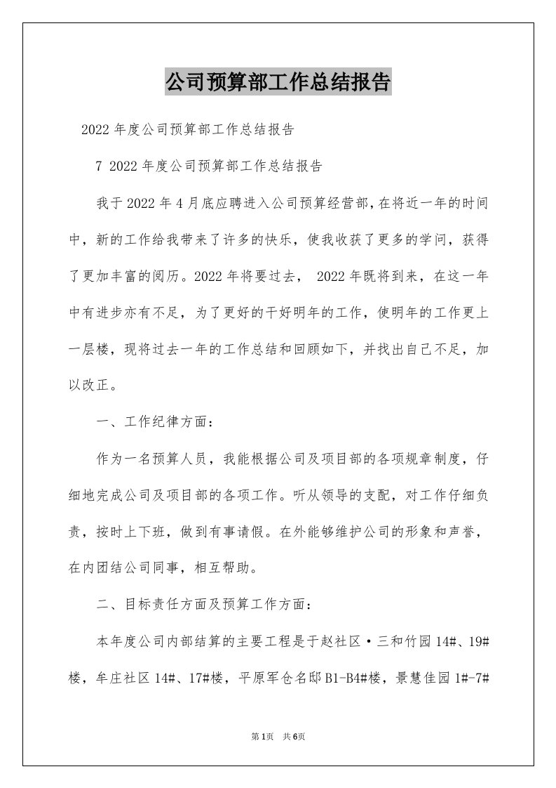 公司预算部工作总结报告