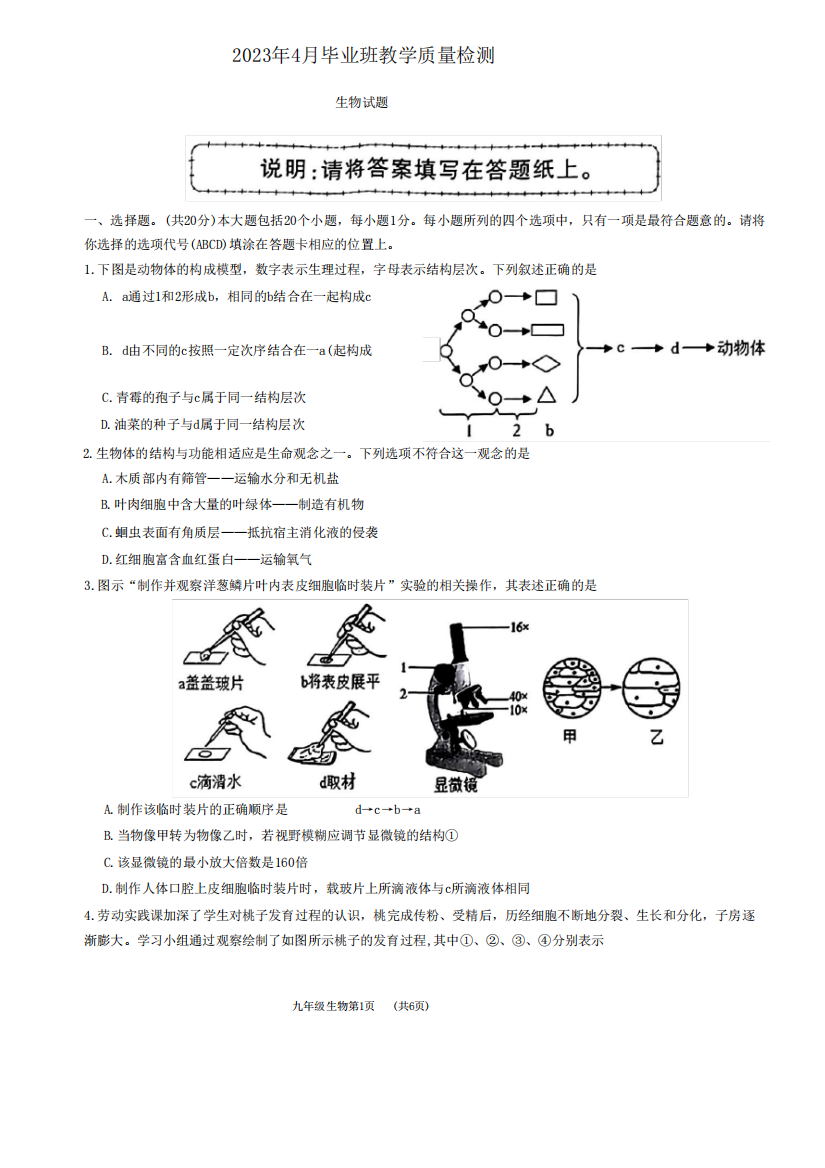 2023年4月毕业班教学质量检测生物试题