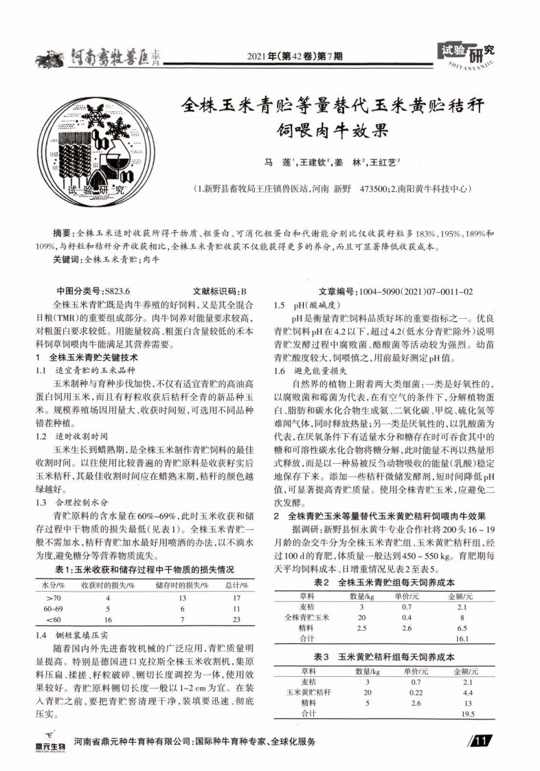 全株玉米青贮等置替代玉米黄贮秸秆饲喂肉牛效果