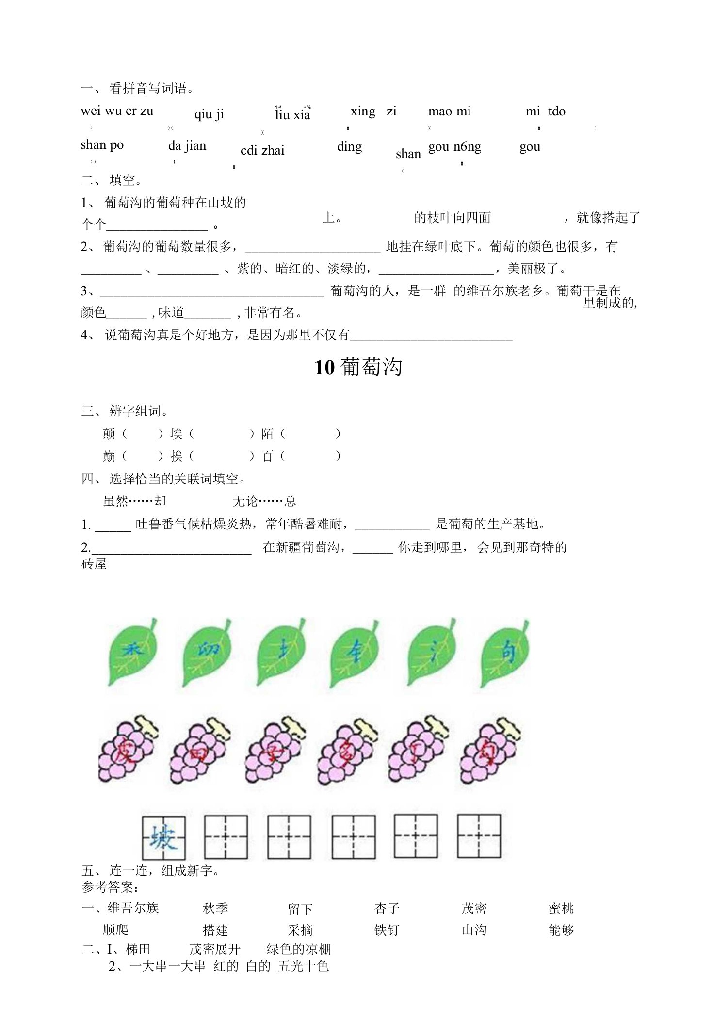 10葡萄沟