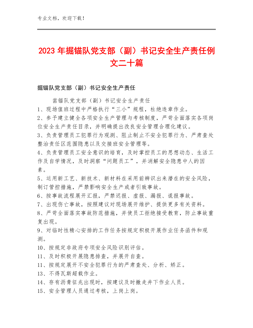 2023年掘锚队党支部（副）书记安全生产责任例文二十篇