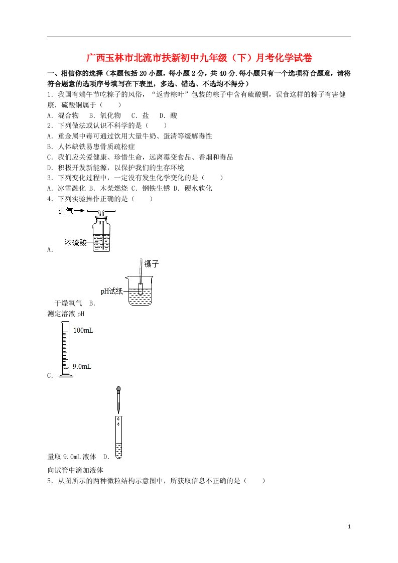 广西玉林市北流市扶新初中九级化学下学期3月月考试题（含解析）