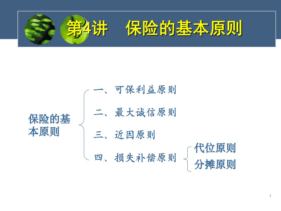 培训讲座PPT保险的基本原则