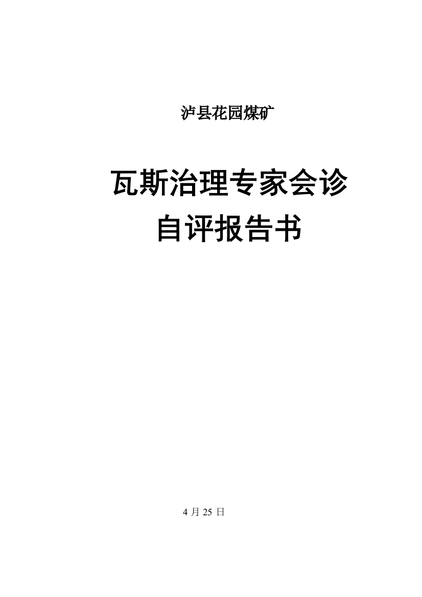 花园煤矿瓦斯治理专家会诊自评报告书样本