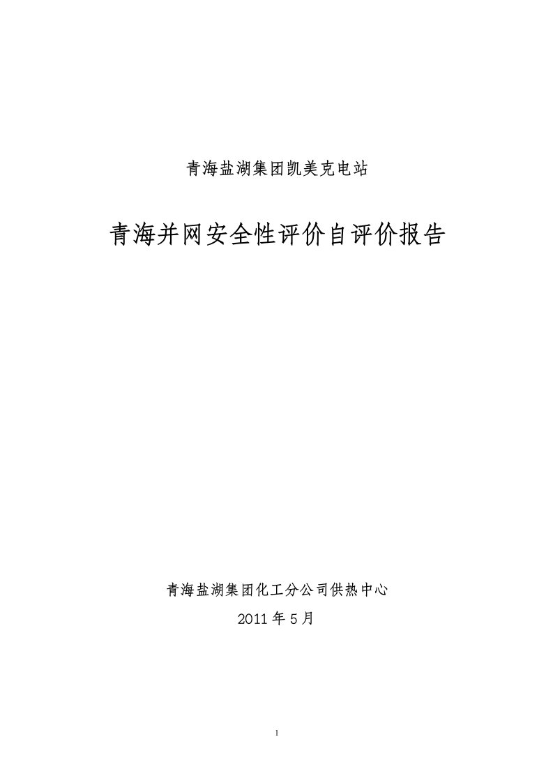 青海并网安全性评价自查报告