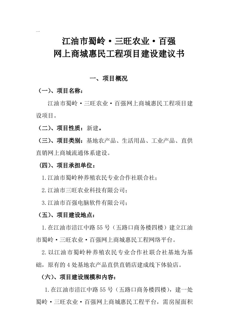 网上商城恵民工程项目建议书