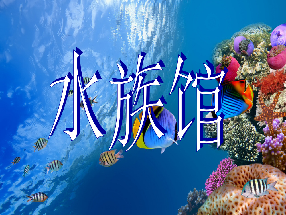 二年级下册美术课件-7水族馆赣美版