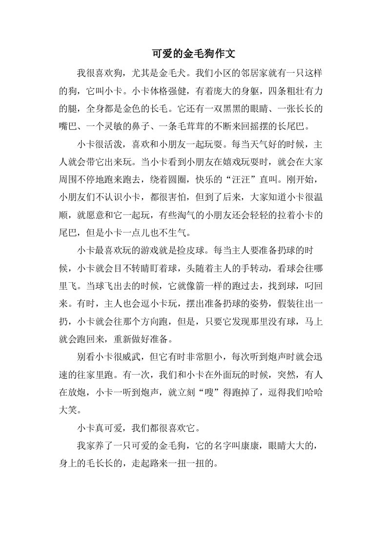 可爱的金毛狗作文